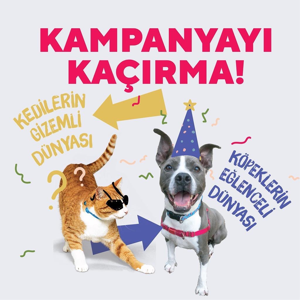 Ürün Tanıtımı